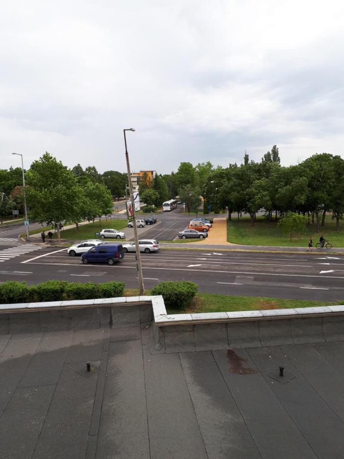 Zöld Béka Hőforrás Apartman Hajdúszoboszló Exterior foto
